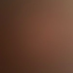 Meet your Posher, Ava